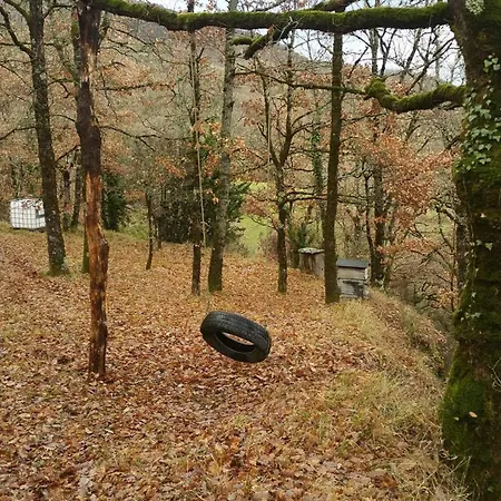 Insolite Bergerie Dans La Foret 캠프장 *