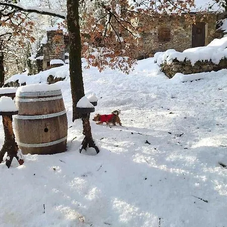 캠프장 Insolite Bergerie Dans La Foret *