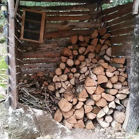 Insolite Bergerie Dans La Foret 캠프장 *
