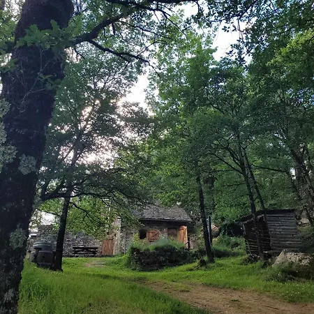 Insolite Bergerie Dans La Foret Arnac-Sur-Dourdou