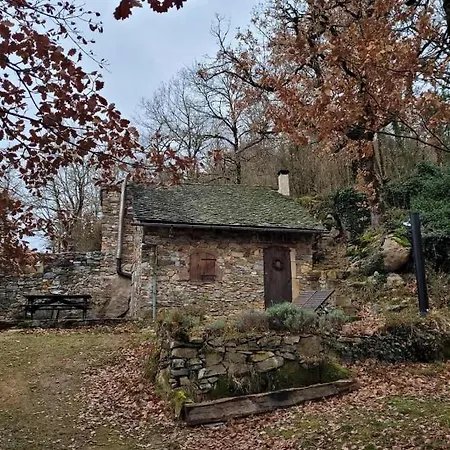 Insolite Bergerie Dans La Foret 营地