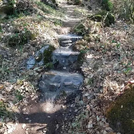 Insolite Bergerie Dans La Foret Arnac-Sur-Dourdou