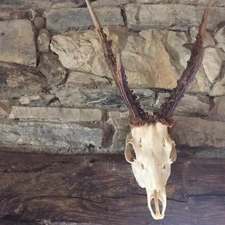 Insolite Bergerie Dans La Foret 营地 *