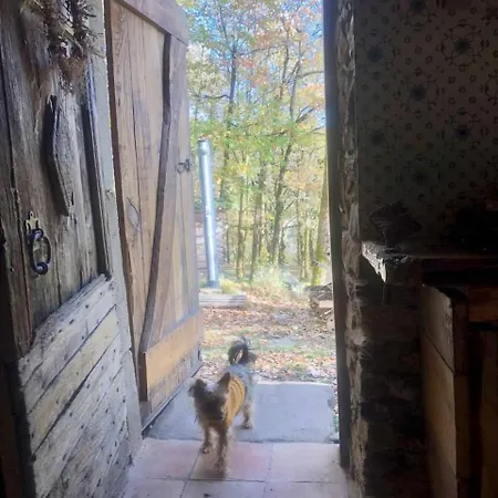 Insolite Bergerie Dans La Foret Arnac-Sur-Dourdou