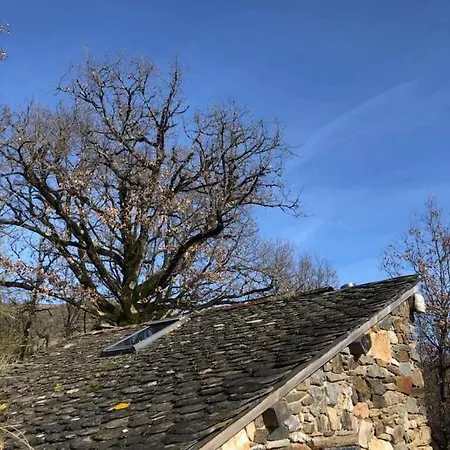 营地 Insolite Bergerie Dans La Foret