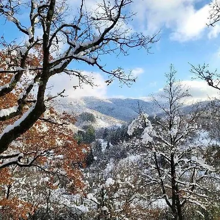 Insolite Bergerie Dans La Foret 营地 *