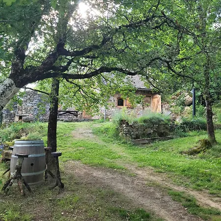 Insolite Bergerie Dans La Foret 营地