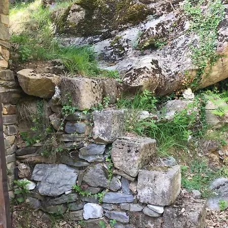 Insolite Bergerie Dans La Foret Kemping Arnac-Sur-Dourdou