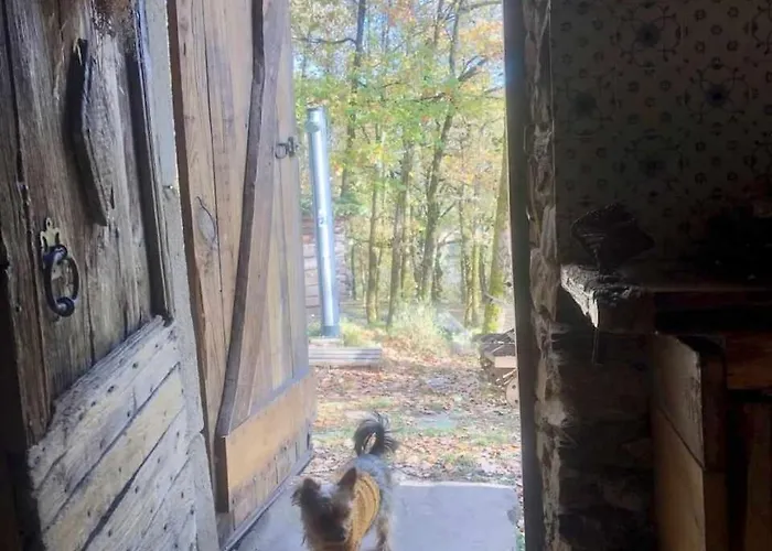 Insolite Bergerie Dans La Foret Arnac-Sur-Dourdou