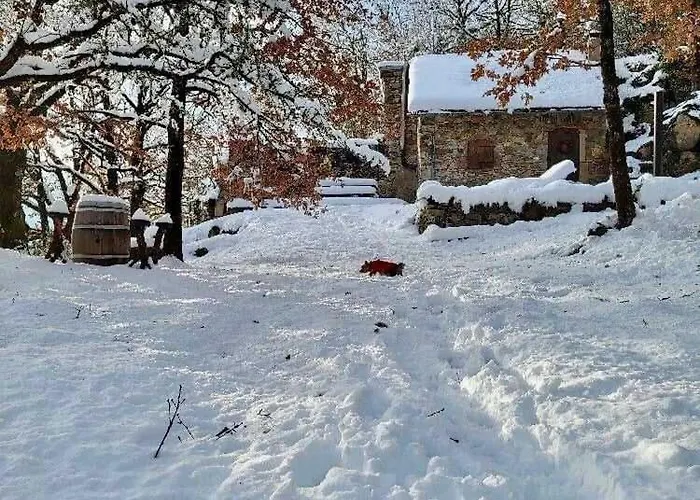Insolite Bergerie Dans La Forêt * Arnac-Sur-Dourdou