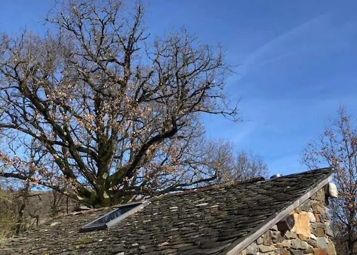 Parque de Campismo Insolite Bergerie Dans La Forêt