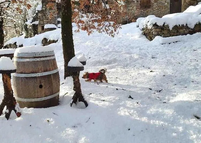 Parque de Campismo Insolite Bergerie Dans La Forêt *
