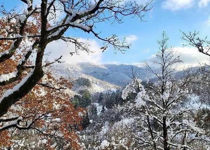 Insolite Bergerie Dans La Forêt Parque de Campismo *