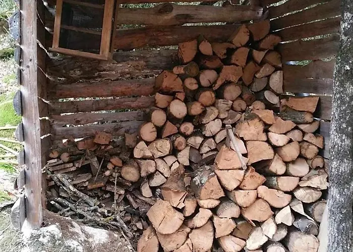 Insolite Bergerie Dans La Forêt Parque de Campismo *